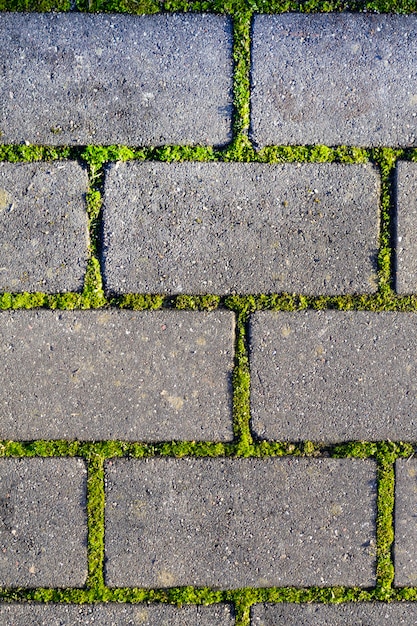 Cobbles close-up with a  green grass in the seams
