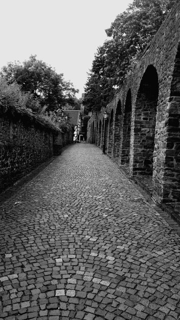 Cobblestone street amidst trees against sky