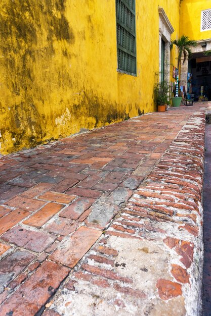 Cobblestone street in city