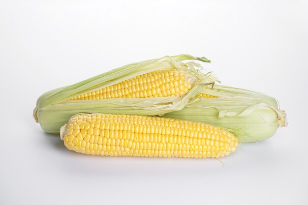 Cobs of ripe corn on a white background