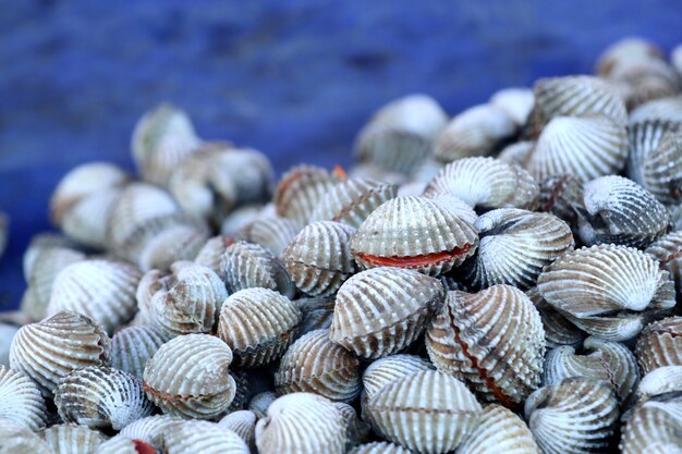 Foto cockle al cibo di strada