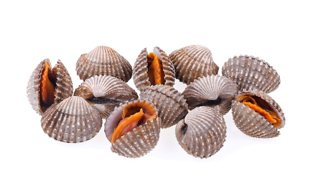 Cockles seafood on white background