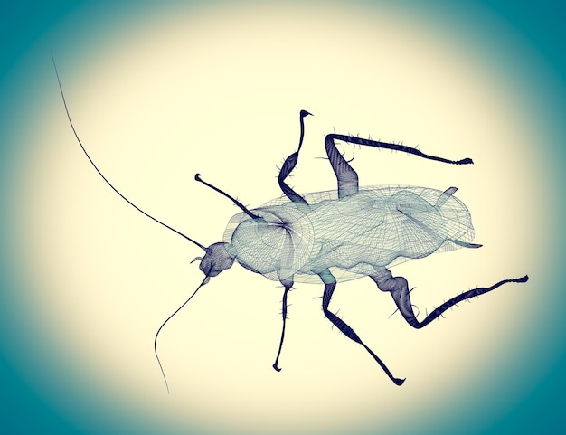 Photo cockroach body structure isolated on a background