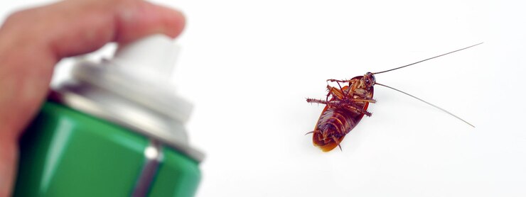 Pet and Household Precautions