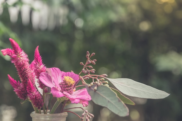 Cockscomb, Chinese Wool Flower and gerbera flowers in vase adorned 