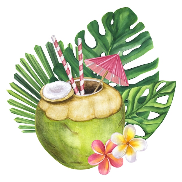 Cocktail green coconut straw umbrella beach drink Monstera leaves frangipani flowers Hand drawn watercolor illustration isolated on white