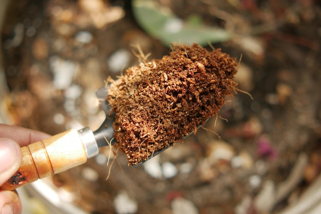 Coco turf en tuingereedschap een tafel met kopieerruimte