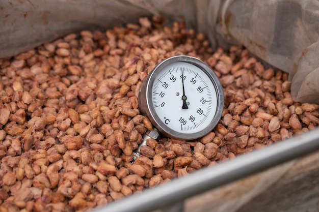 Cocoa beans are fermented in wooden boxto develop the chocolate flavor.