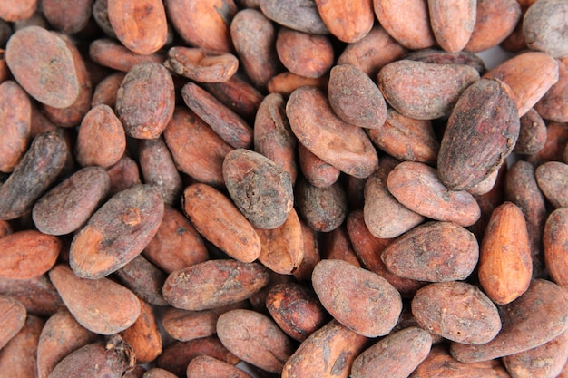 Cocoa beans close up