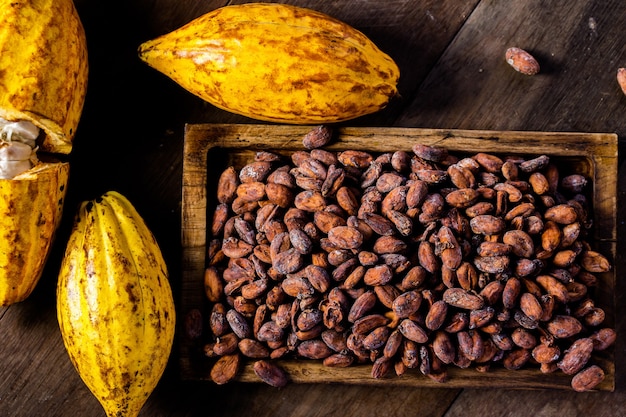 Foto fave di cacao e baccello di cacao su una superficie di legno.