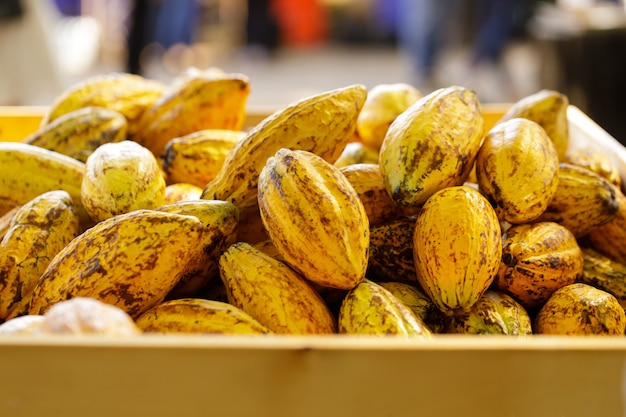 Cocoa beans and cocoa pod on a wooden surface.