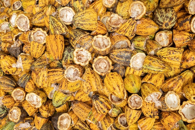 Cocoa beans and cocoa pod on a wooden surface.