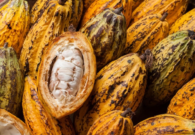 Cocoa beans and cocoa pod on a wooden surface