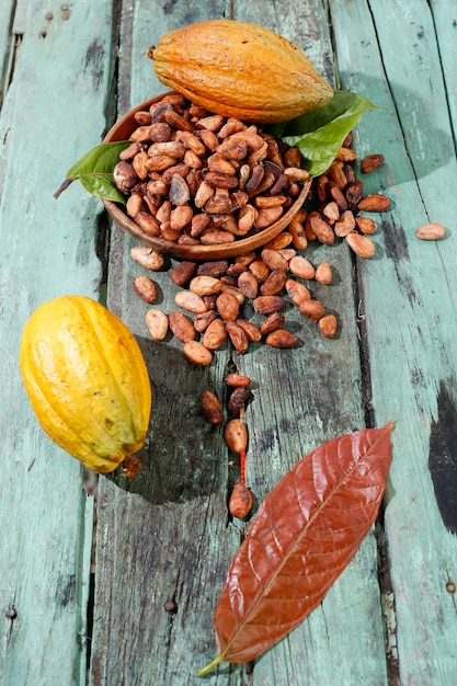 Какао-бобы и фрукты Theobroma cacao L изображение крупным планом