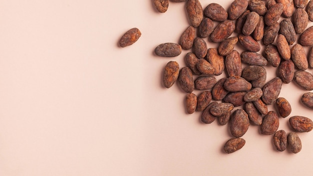 Cocoa beans on a pink surface