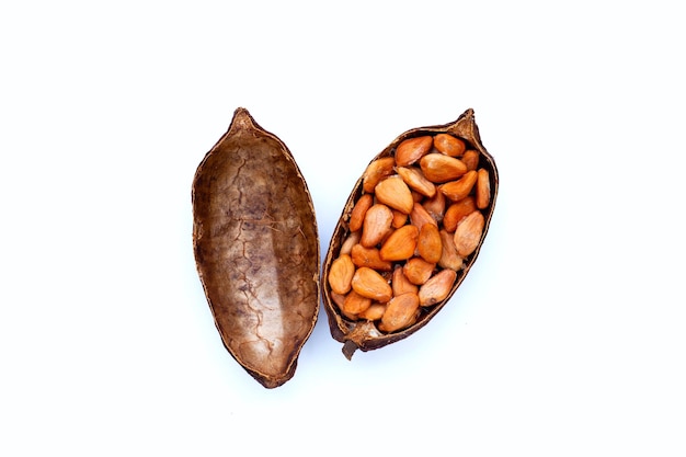 Cocoa beans on white background