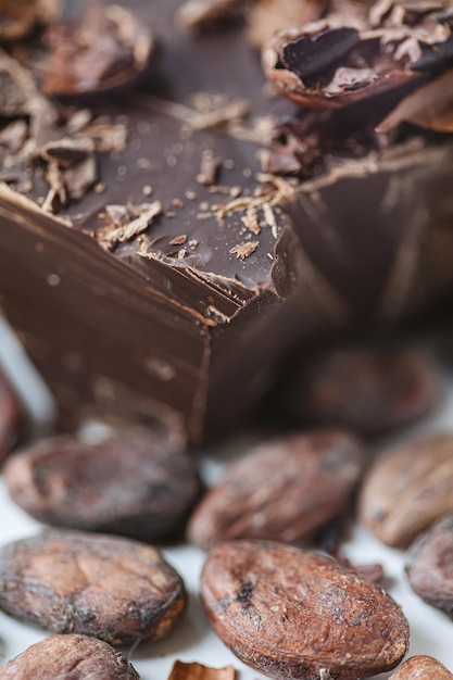 Cocoa beans with chocolate on a white background Shalllow dof