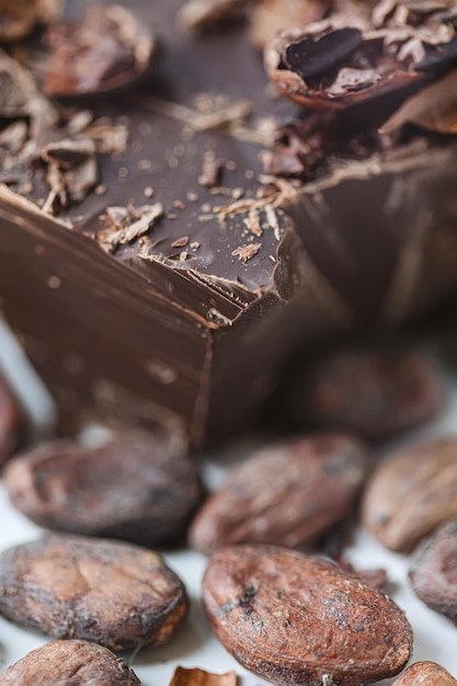 Какао-бобы с шоколадом на белом фоне Shalllow dof