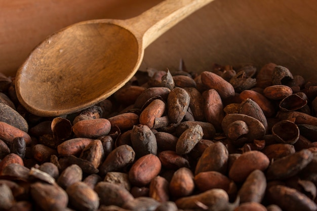 cocoa beans