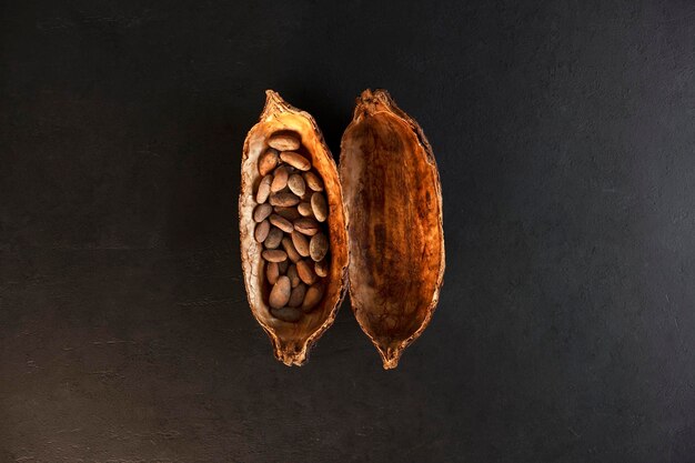 Photo cocoa cacao organic pod with beans on black background natural confectionery ingredients top view