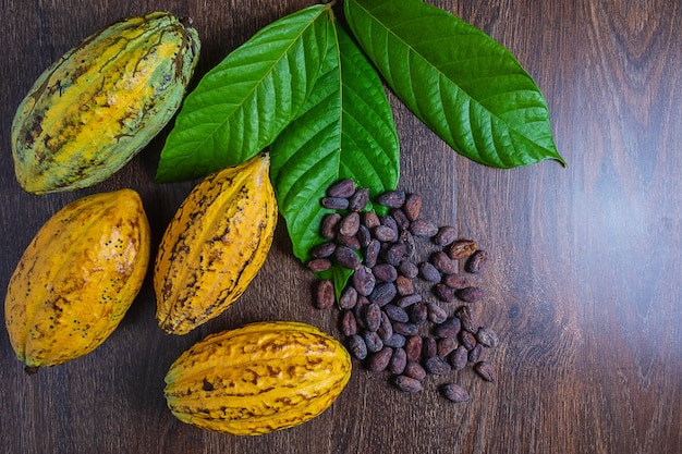 Cocoa fruit and cocoa beans on a wooden background