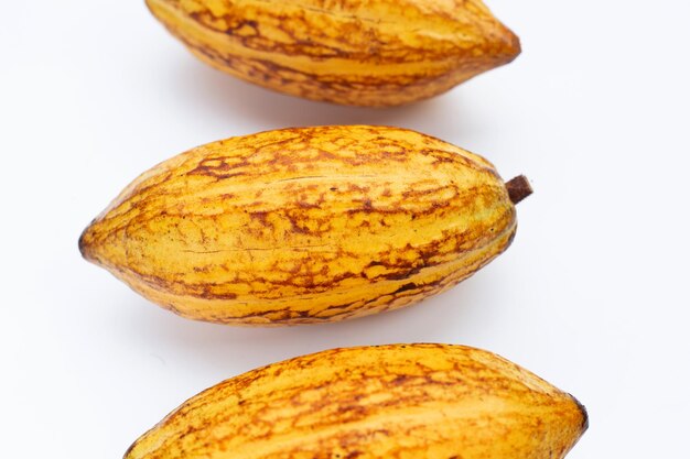 Cocoa fruit isolated on white background