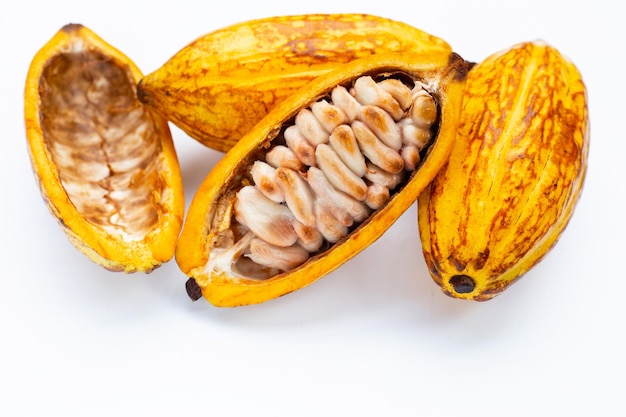 Cocoa fruit isolated on white background