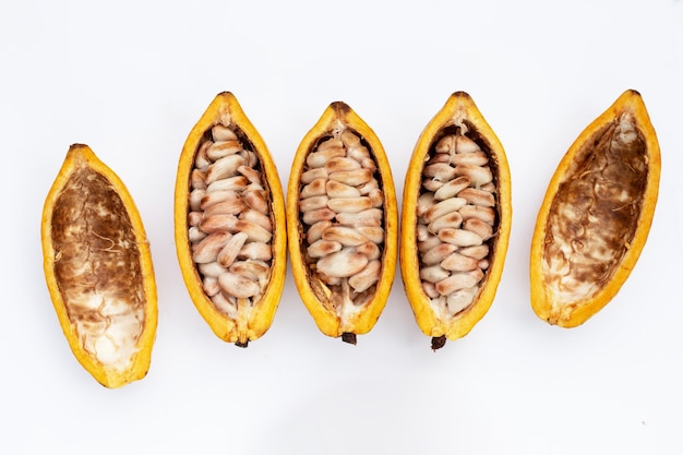 Cocoa fruit isolated on white background