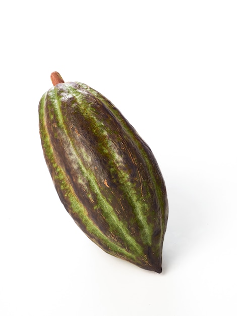 Cocoa fruit on white background