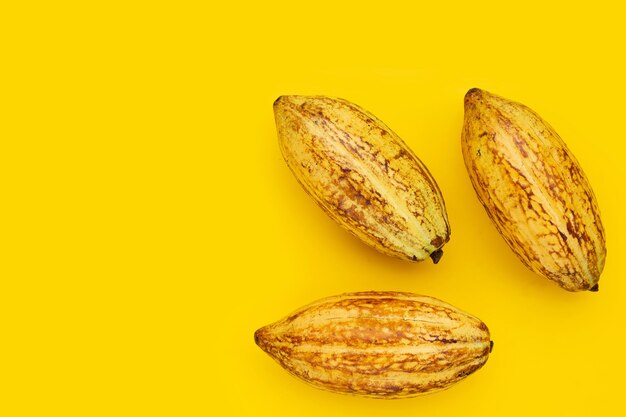 Cocoa fruit on yellow background