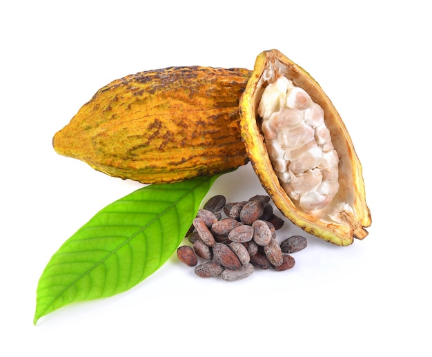 Foto frutti di cacao isolati su sfondo bianco