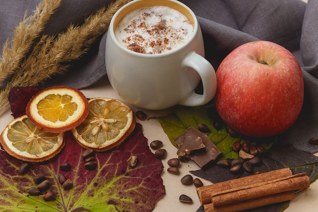 Cocoa or latte or hot chocolate with cinnamon