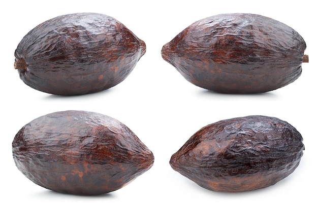 Cocoa pod on a white background