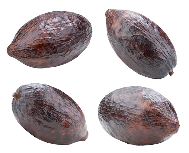 Cocoa pod on a white background