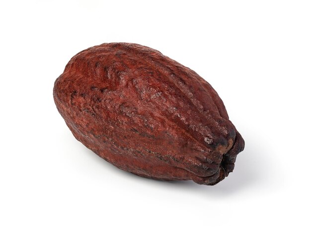 Cocoa pod on a white background