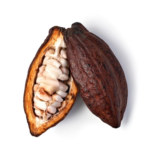 Cocoa pod on a white background