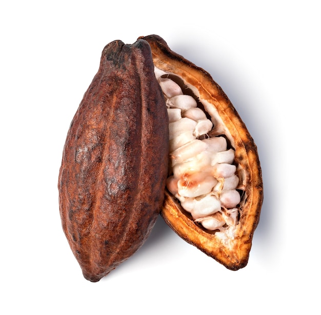 Cocoa pod on a white background
