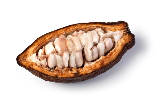 Photo cocoa pod on a white background