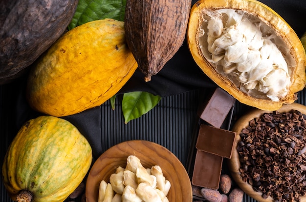 Cocoa pods, beans and powder on wooden table, top view