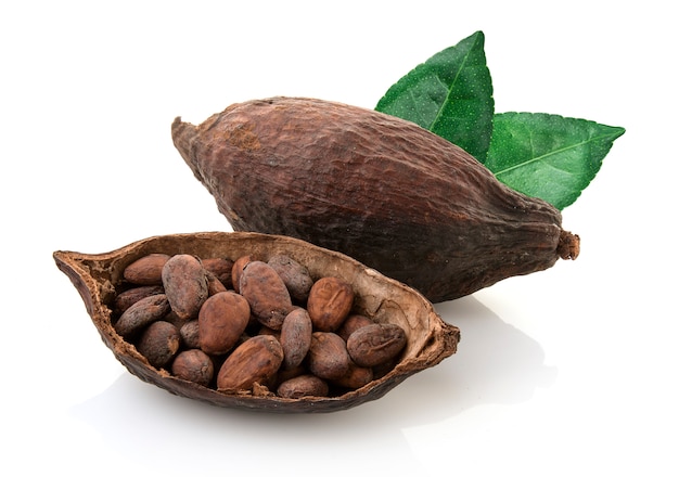 Cocoa pods and cocoa beans and cacao powder with leaves isolated on white background