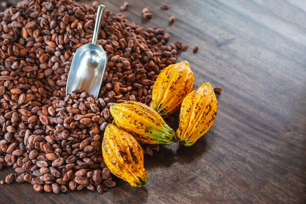 Cocoa pods and cocoa beans On wooden table