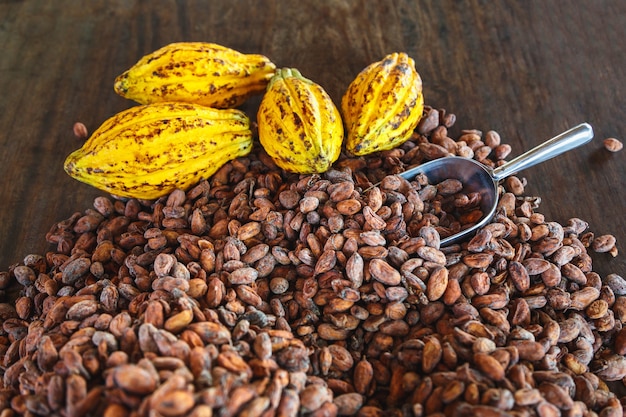 Foto baccelli di cacao e fave di cacao su un tavolo di legno