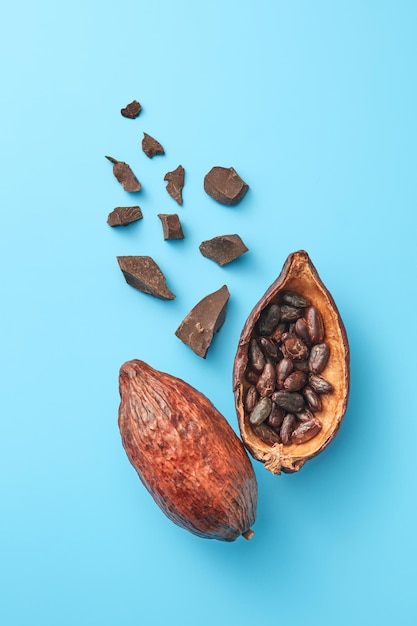 Cocoa pods with beans and chocolate