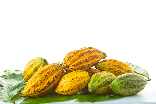 Cocoa pods with Cocoa leaf on a white background