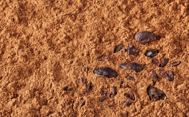 Cocoa powder background with cacao beans