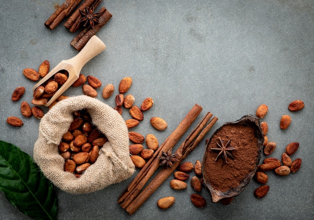 Cocoa powder and cacao beans on concrete background.