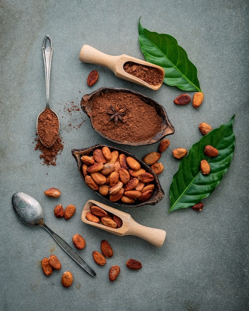 Какао-порошок и бобы какао на конкретной предпосылке.