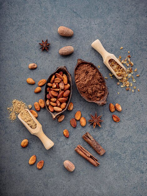 Cocoa powder and cacao beans on stone background