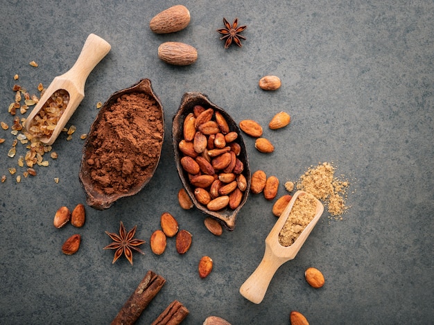 Cocoa powder and cacao beans on stone background.