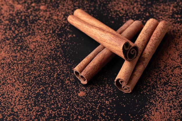 Cocoa powder and cinnamon sticks Copy space